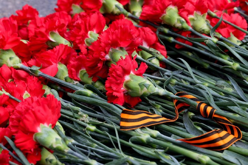 В Вологодской области стартовала акция «Георгиевская лента»В преддверии 9 мая в …