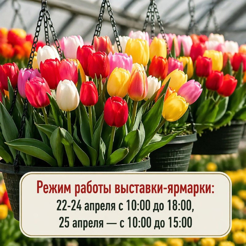Впереди — дачный сезон. Уже успели приобрести саженцы и рассаду?Если еще нет, т…